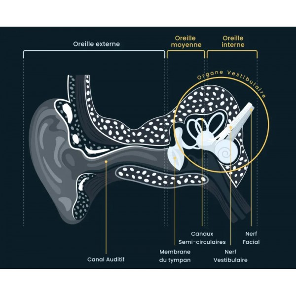 Neural Balance Innovation (NBI) StimBox